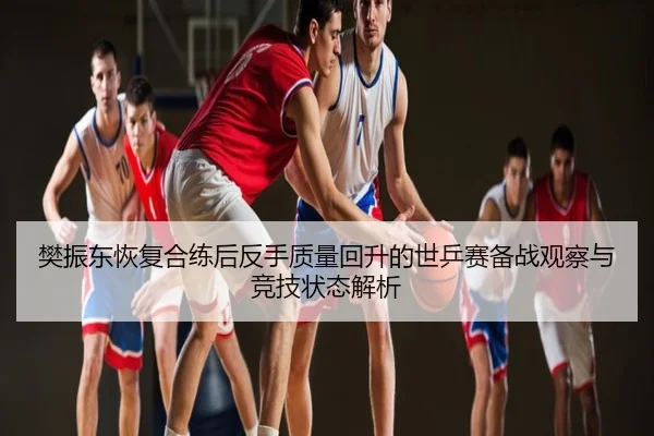 樊振东恢复合练后反手质量回升的世乒赛备战观察与竞技状态解析